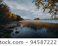 Island in Monrepo Mon Repos park. Pampas grass. Autumn landscape. Vyborg 94587222