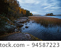Island in Monrepo Mon Repos park. Pampas grass. Autumn landscape. Vyborg 94587223