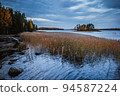 Island in Monrepo Mon Repos park. Pampas grass. Autumn landscape. Vyborg 94587224