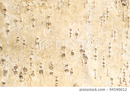 The texture of birch bark. Background of birch 94590012