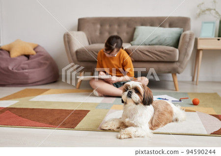 Cute Little Dog On Carpet 94590244