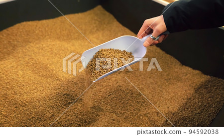 Female hand is picking up buckwheat in the supermarket.  94592038