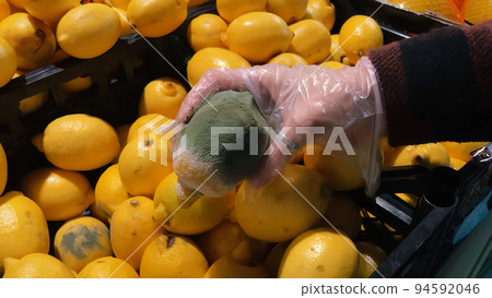 Rotten, low-quality lemon in the hand of a girl. Mold, spoiled products in the supermarket. Rotten, low-quality lemon in the hand of a girl. Mold, spoiled products in the supermarket. 94592046