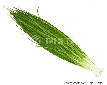 手繪插畫的真味的大蔥 94592958