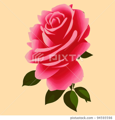 Decorative vintage rose and bud. Vector set of blooming flowers for your design. Decoration for wedding invitations and greeting cards. Antique rose on a pastel background minimalism 94593598