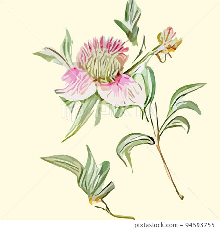 Vintage card with colorful flowers. Vector illustration. Beautiful tropical plants bouquet on a beige background. Herbs and wildflowers. Botany. Set of floral elements for your compositions 94593755