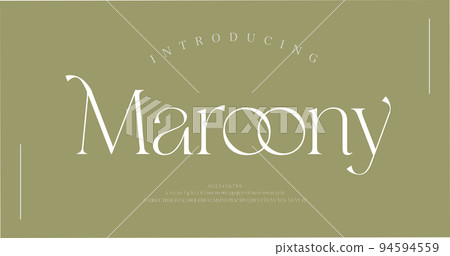 Luxury alphabet letters font. Typography Elegant classic serif fonts and number decorative logo wedding vintage retro concept. vector illustration Luxury alphabet letters font. Typography Elegant classic serif fonts and number decorative logo wedding vintage retro concept. vector illustration 94594559
