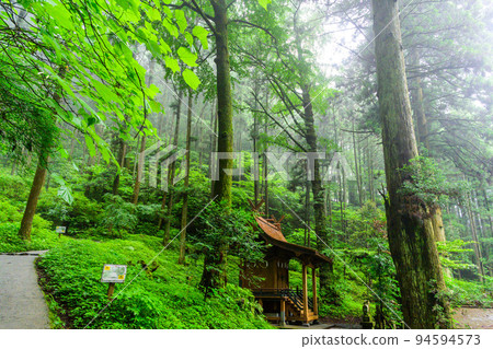 神秘的神社“能量點/正殿風景”上色見熊野馬神社(阿蘇郡高森町上色見) 神秘的神社“能量點/正殿風景”上色見熊野馬神社(阿蘇郡高森町上色見) 94594573