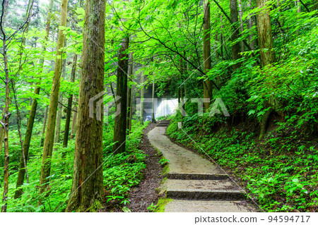 神秘的神社“能量點/從正殿到天空之門的道路周圍的景觀”上色見熊野島神社(阿蘇郡高森町上色見) 神秘的神社“能量點/從正殿到天空之門的道路周圍的景觀”上色見熊野島神社(阿蘇郡高森町上色見) 94594717