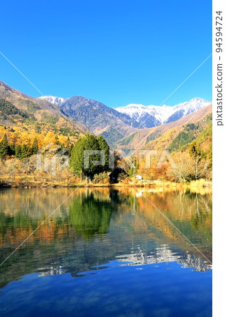 Autumn leaves of Komagaike Pond 94594724