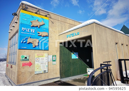冬天的旭山動物園和河馬博物館（北海道旭川市） 94595625