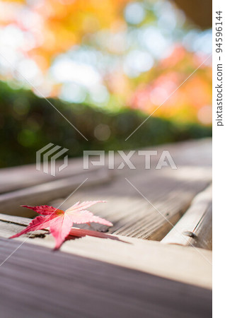 Autumn leaves that fell to Konpukuji Temple in Kyoto Autumn leaves that fell to Konpukuji Temple in Kyoto 94596144