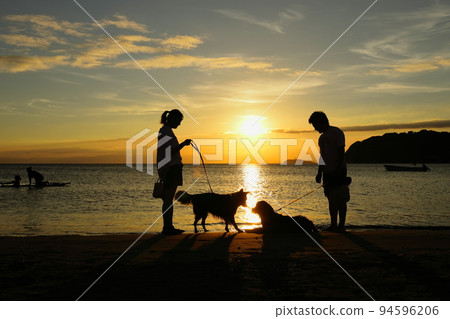 Zushi Beach at dusk, silhouettes of people walking their dogs Zushi Beach at dusk, silhouettes of people walking their dogs 94596206