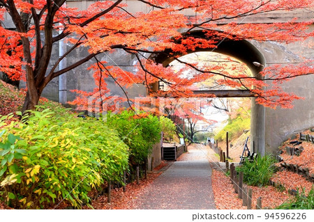 Autumn leaves of Ueda castle ruins park 94596226