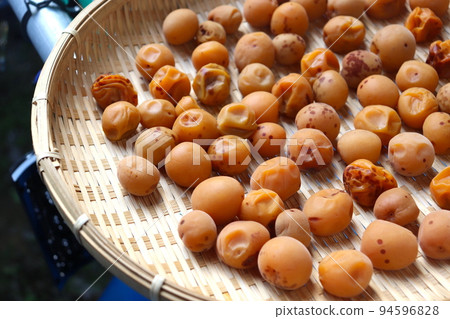 梅干土 梅干土陽幹 保鮮食品 94596828