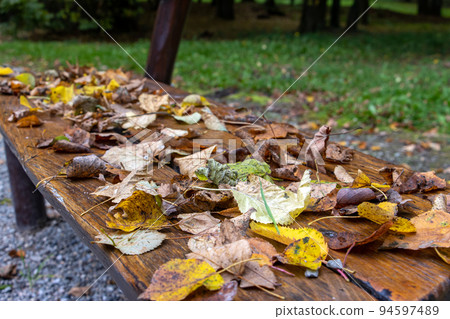 A bench in the autumn park covered with fallen leaves, close up. 94597489