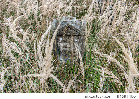 Old tombstone in a rural cemetery overgrown with tall grass Old tombstone in a rural cemetery overgrown with tall grass 94597490