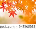 Momiji who insists 94598568