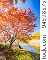 Momiji and blue sky 94598575