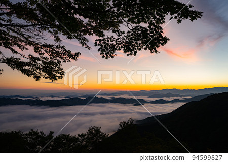 Sea of clouds in Nosakogawa village　 94599827