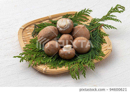 Brown mushroom Brown mushroom 94600621