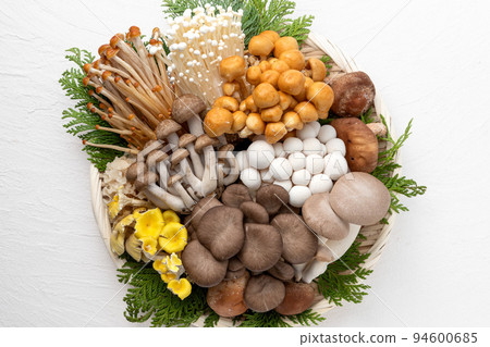 many kinds of mushrooms 94600685