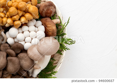 多種蘑菇 94600687