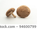 Two shiitake mushrooms (white back) copy space 94600799