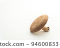 Shiitake (white back) copy space 94600833