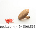 Maple and shiitake (white back) copy space 94600834