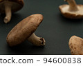 Randomly arranged shiitake mushrooms copy space 94600838