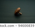 Shiitake mushrooms placed in the center, copy space 94600839