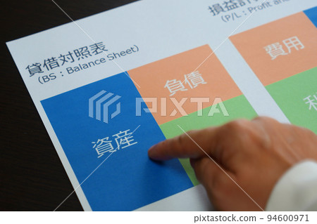 資產負債表和損益表 資產負債表和損益表 94600971