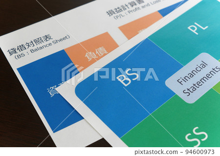 資產負債表和損益表 資產負債表和損益表 94600973