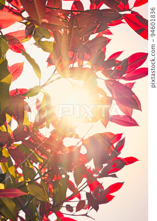 日本五彩繽紛的春景 日本五彩繽紛的春景 94601836