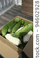 Goya of a home garden 94602928