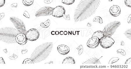 Coconut pattern, coco hand drawn sketch. Art flower drawing, line nuts, frame with tropical palm leaves. Exotic nuts. Horizontal banner template. Vector illustration isolated background 94603202