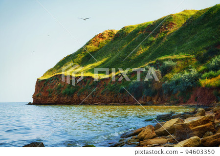 beautiful summer seascape, seashore on a bright day, high hill, wild grass and stones 94603350