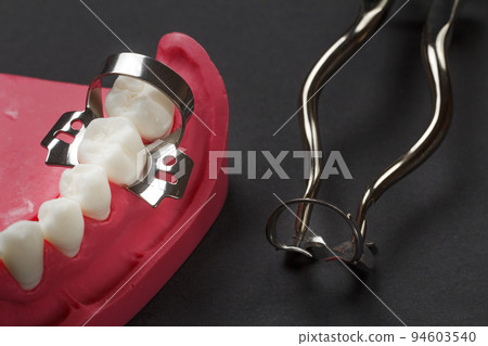 Layout of the human jaw with clamp pliers. 94603540