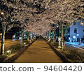 Kamakura cherry blossoms at night 94604420
