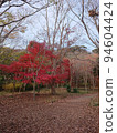 Take a picture of red autumn leaves while walking around Kamakura ③ 94604424