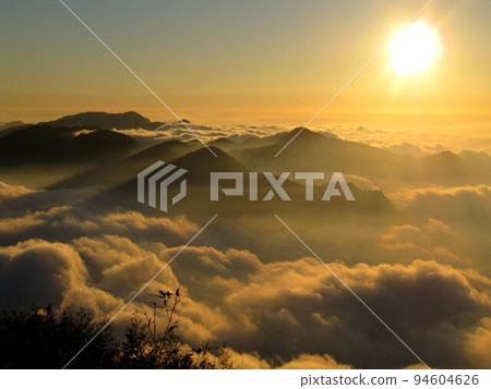 阿里山、新中浩郎 94604626