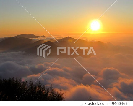 阿里山、新中浩郎 94604631