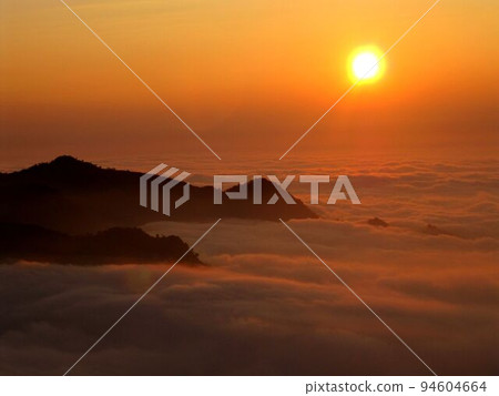 阿里山、新中浩郎 94604664