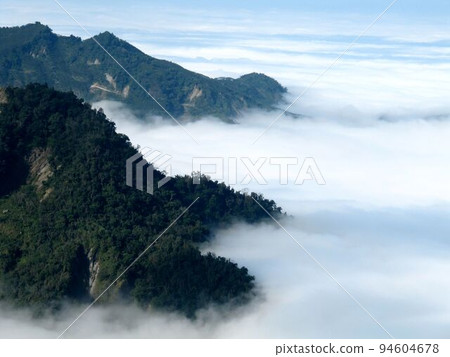阿里山、新中浩郎 阿里山、新中浩郎 94604678