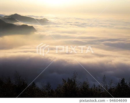 阿里山、新中浩郎 阿里山、新中浩郎 94604699