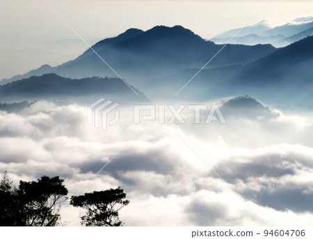 阿里山、新中浩郎 94604706