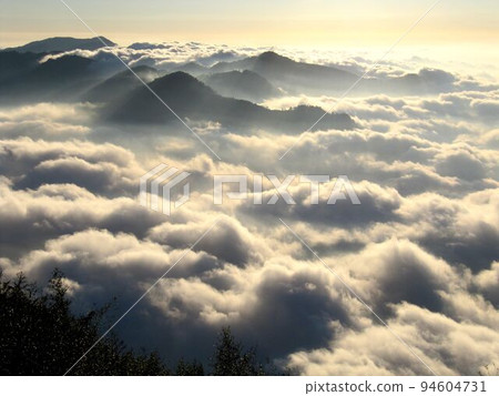 阿里山、新中浩郎 阿里山、新中浩郎 94604731