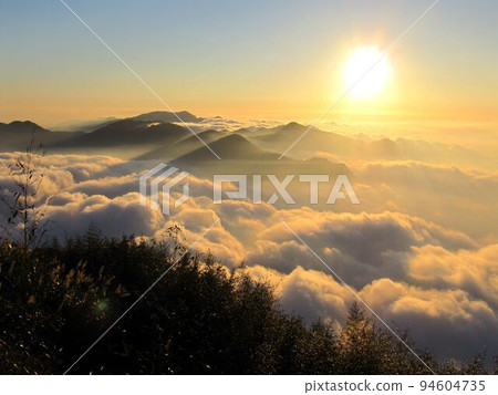 阿里山、新中浩郎 94604735