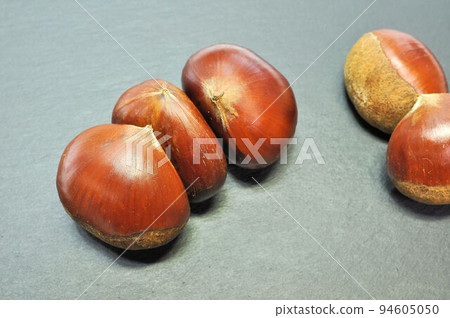 Tanba Chestnut 94605050